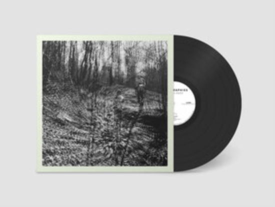 Interior Spring - Topographies - Music - DARK ENTRIES - 0794811515678 - February 9, 2024