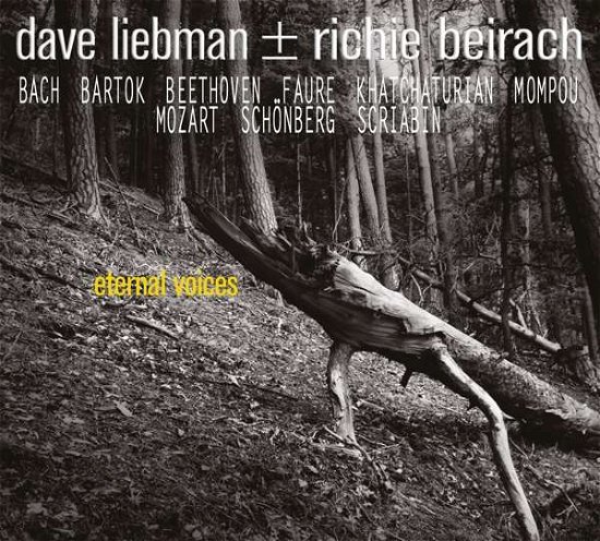 Eternal Voices - Dave Liebman & Richie Beirach - Musiikki - JAZZLINE - 4049774770678 - perjantai 14. kesäkuuta 2019