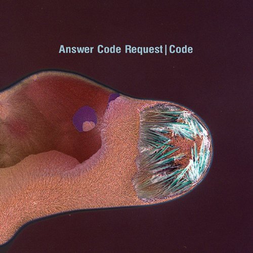 Cover for Answer Code Request · Code (CD) [Japan Import edition] (2014)