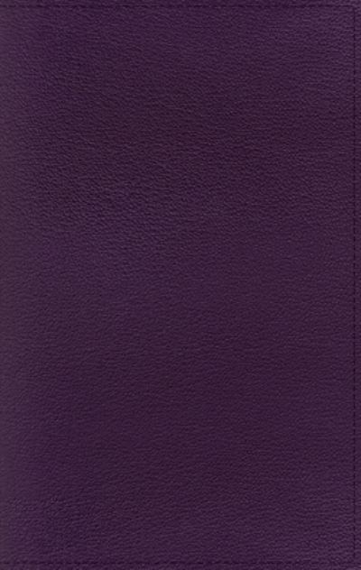 Cover for Zondervan · NRSV, Personal Size Large Print Bible with Apocrypha, Premium Goatskin Leather, Purple, Premier Collection, Printed Page Edges, Comfort Print (Læderbog) [Large type / large print edition] (2021)