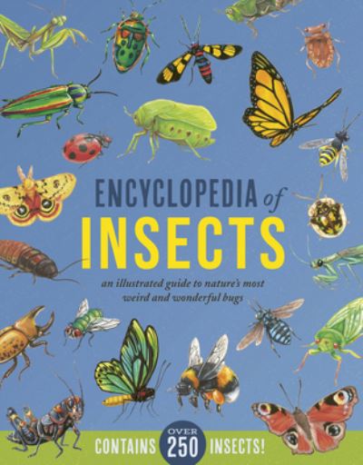 Cover for Jules Howard · Encyclopedia of Insects (Book) (2022)