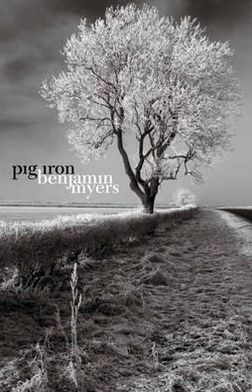 Cover for Benjamin Myers · Pig Iron (Paperback Book) (2012)