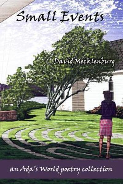 Cover for David Mecklenburg · Small Events (Paperback Book) (2019)