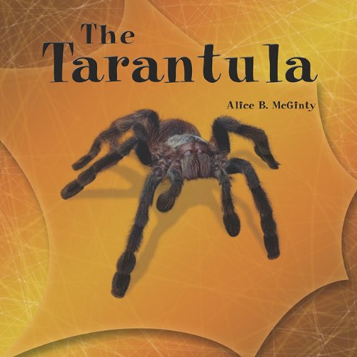 Cover for Alice B. Mcginty · The Tarantula (The Library of Spiders) (Paperback Book) (2005)