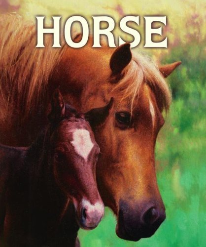 Horse - Malachy Doyle - Bøker - Margaret K. McElderry Books - 9781416924678 - 17. juni 2008