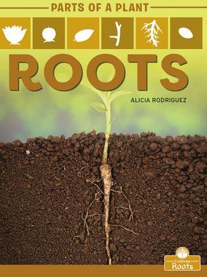 Cover for Alicia Rodriguez · Roots (Hardcover Book) (2021)