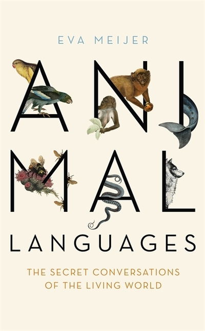 Cover for Eva Meijer · Animal Languages: The secret conversations of the living world (Hardcover Book) (2019)