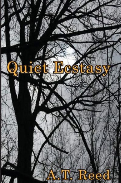 Cover for A T Reed · Quiet Ecstasy (Paperback Book) (2016)