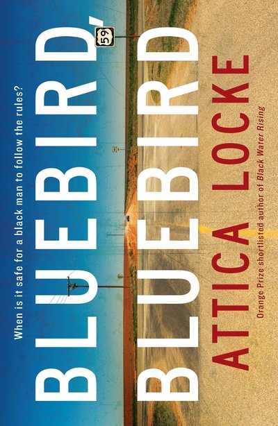 Bluebird, Bluebird - Highway 59 - Attica Locke - Kirjat - Profile Books Ltd - 9781781257678 - keskiviikko 27. syyskuuta 2017
