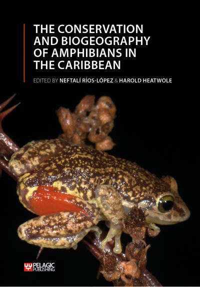 The Conservation and Biogeography of Amphibians in the Caribbean - Amphibian Biology -  - Books - Pelagic Publishing - 9781784272678 - February 28, 2023