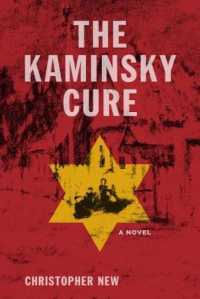 Cover for Christopher New · The Kaminsky cure (Book) [First edition. edition] (2016)