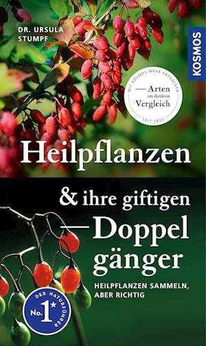 Cover for Ursula Stumpf · Heilpflanzen und ihre giftigen Doppelgänger (Book) (2023)
