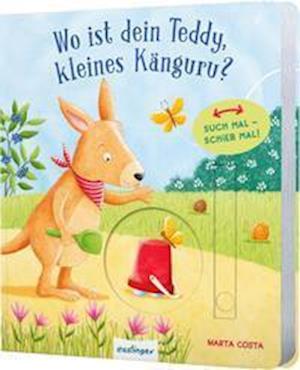 Cover for Julia Klee · Such mal - schieb mal! : Wo ist dein Teddy, kleines Känguru? (Board book) (2022)