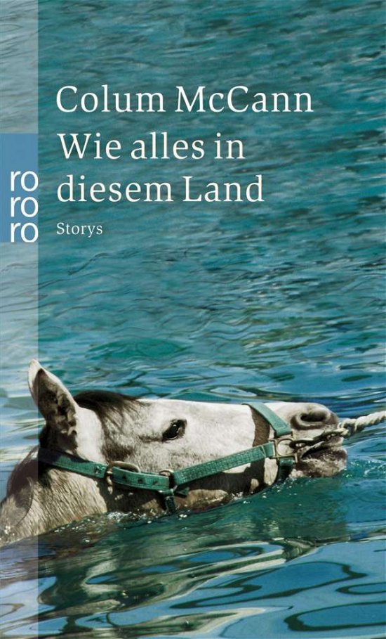Cover for Colum McCann · Wie alles in diesem Land (Taschenbuch) (2003)