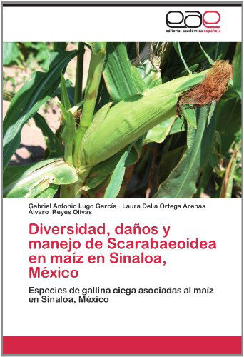 Cover for Álvaro Reyes Olivas · Diversidad, Daños Y Manejo De Scarabaeoidea en Maíz en Sinaloa, México: Especies De Gallina Ciega Asociadas Al Maíz en Sinaloa, México (Paperback Book) [Spanish edition] (2012)
