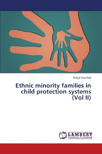 Cover for Pooja Sawrikar · Ethnic Minority Families in Child Protection Systems (Vol Ii) (Paperback Book) (2013)