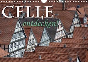 Cover for Blume · CELLE entdecken (Wandkalender 202 (Book)