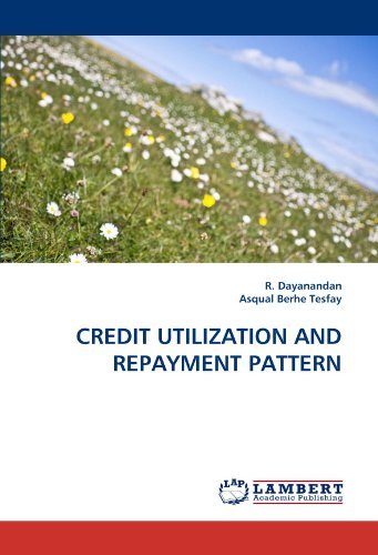 Cover for Asqual Berhe Tesfay · Credit Utilization and Repayment Pattern (Pocketbok) (2010)