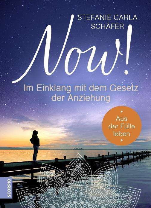 Cover for Schäfer · NOW! Im Einklang mit dem Gesetz (Book)