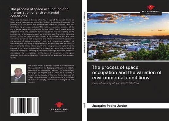 Cover for Júnior · The process of space occupation (Bok)