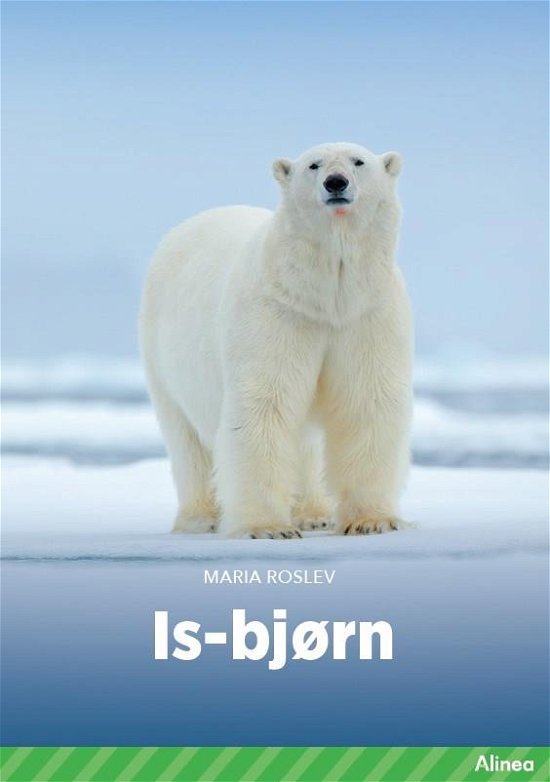 Cover for Maria Roslev · Fagklub: Isbjørn, Grøn Fagklub (Bound Book) [1st edition] (2022)