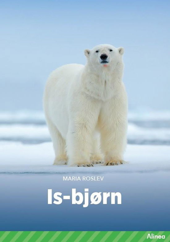 Cover for Maria Roslev · Fagklub: Isbjørn, Grøn Fagklub (Bound Book) [1er édition] (2022)