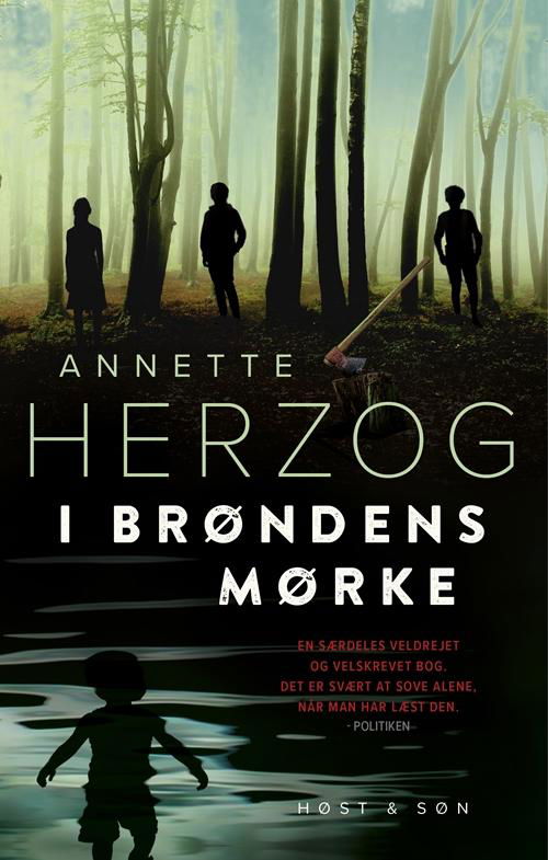 Cover for Annette Herzog · I brøndens mørke (Sewn Spine Book) [2nd edition] (2017)