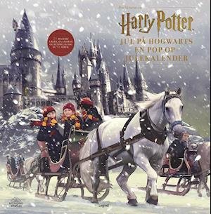 Harry Potter julekalender -  - Livres - Legind - 9788771558678 - 14 septembre 2020