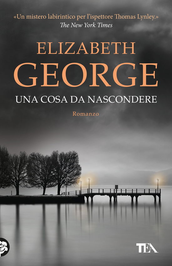 Una Cosa Da Nascondere - Elizabeth George - Books -  - 9788850266678 - 