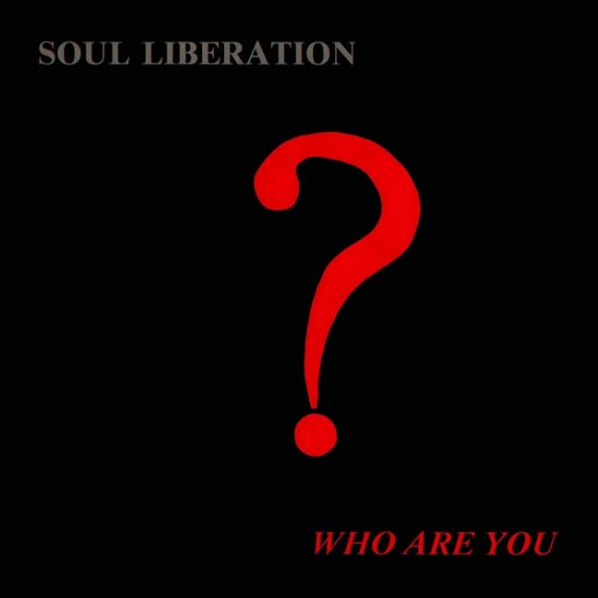 Cover for Soul Liberation · Who Are You? (LP) (2023)