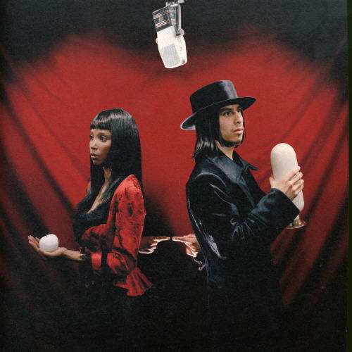 Cover for The White Stripes · Blue Orchid (7&quot;) (2005)