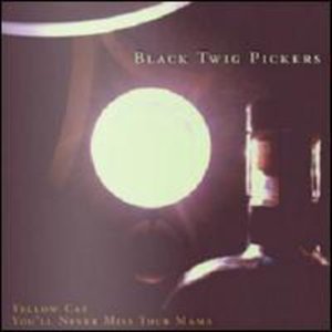 Cover for Black Twig Pickers · Yellow Cat (7&quot;) [Limited edition] (2012)