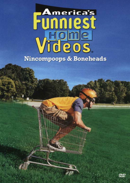 Cover for America's Funniest Home Videos · Americas Funniest H - Americas Funniest Home Vid (DVD) (2023)