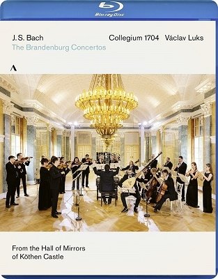 Bach: Brandenburg Concertos 1-6 Bwv 1046-1051 - Collegium 1704 / Vaclav Luks - Films - ACCENTUS - 4260234832679 - 3 juin 2022