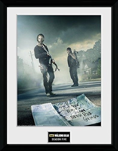 Cover for Walking Dead (The) · Walking Dead (The): Season 5 (Stampa In Cornice 30x40 Cm) (MERCH)