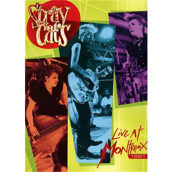 Cover for Stray Cats · Live at Montreux 1981 (DVD) (2012)