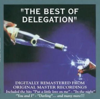 Cover for Delegation · Best Of (LP) (2022)