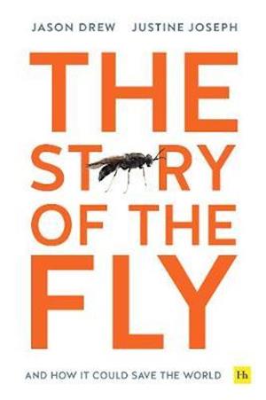 Cover for Jason Drew · The Story of the Fly: And how it could save the world (Paperback Book) (2021)