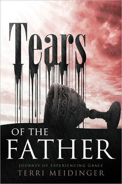 Cover for Terri Meidinger · Tears of the Father: Journey of Experiencing Grace (Paperback Book) (2011)