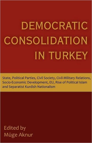 Cover for Muge Aknur · Democratic Consolidation in Turkey: State, Political Parties, Civil Society, Civil-military Relations, Socio-economic Development, Eu, Rise of Politic (Paperback Book) (2012)