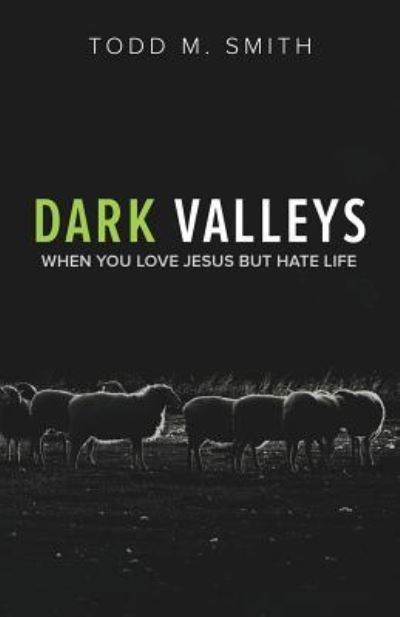 Cover for Todd Smith · Dark Valleys: When You Love Jesus But Hate Life (Paperback Bog) (2017)