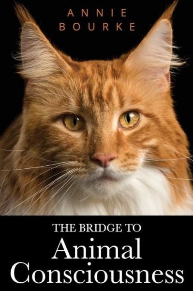 Cover for Annie Bourke · The Bridge to Animal Consciousness (Paperback Bog) (2018)