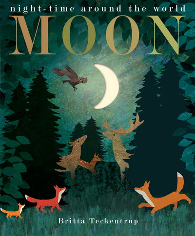 Moon: night-time around the world - Peek-through Nature - Patricia Hegarty - Kirjat - Little Tiger Press Group - 9781848696679 - torstai 7. syyskuuta 2017