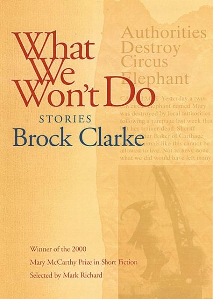 Cover for Brock Clarke · What We Won't Do: Stories (Paperback Book) (2002)