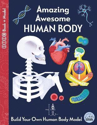 Cover for Susan Mayes · Amazing Awesome Human Body - Ignite STEM Book + Model Kit (Book) (2025)