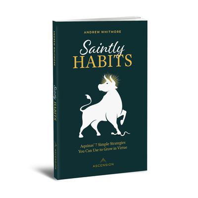 Cover for Andrew Whitmore · Saintly Habits (Book) (2023)