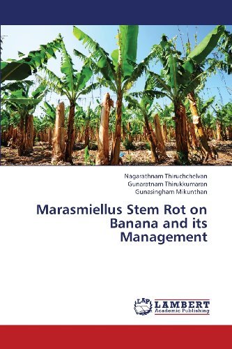 Cover for Gunasingham Mikunthan · Marasmiellus Stem Rot on Banana and Its Management (Paperback Book) (2013)