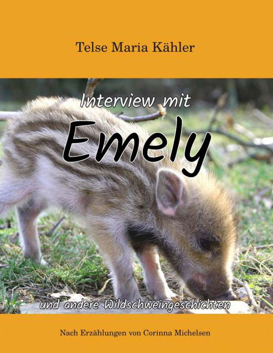 Cover for Kähler · Interview mit Emely (Book)
