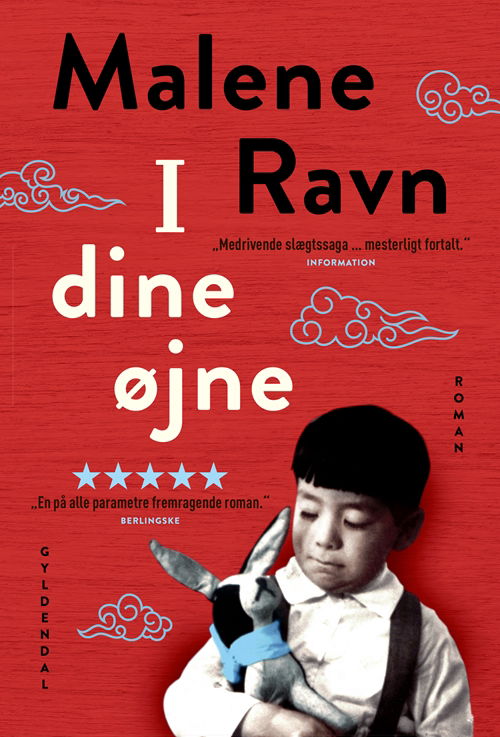 I dine øjne - Malene Ravn - Bøger - Gyldendal - 9788702283679 - 1. juni 2019