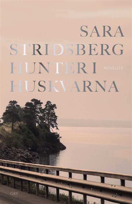 Cover for Sara Stridsberg · Hunter i Huskvarna (Bound Book) [1st edition] (2022)